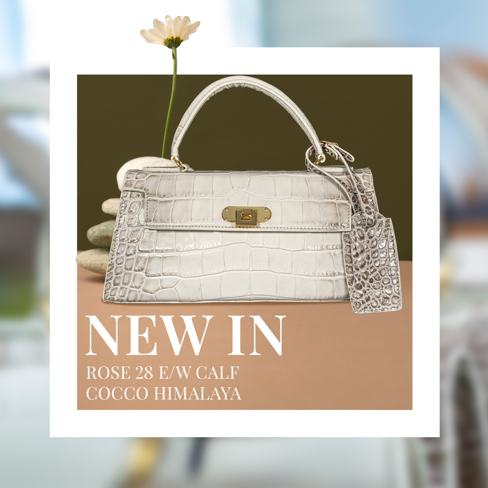 Rose 28 E/W Cocco Himalaya